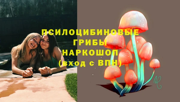 СК Арсеньев